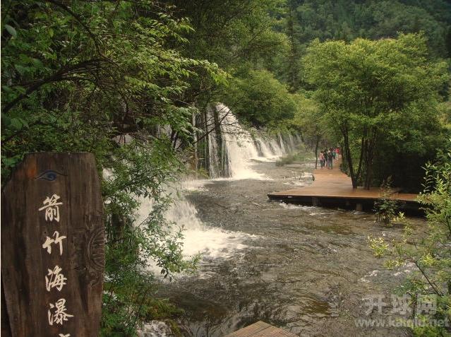箭竹海