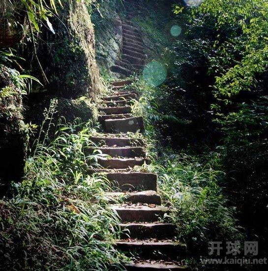 刘国江、徐朝清两位老人半个世纪的旷世恋情和6000级天梯。
(来源：腾讯新闻)