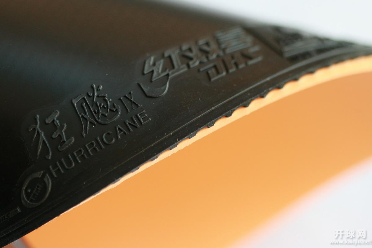 也许是最后一张