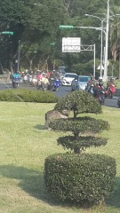 台湾摩托车太多了