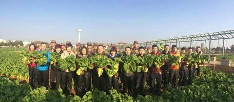 全队合影
2月10日清晨，国乒将帅一行在昆明农庄体验了一把“菜农”的味道，抱着大白菜的各位主教练和世界冠军们，迎着朝霞露出了最质朴的笑容。