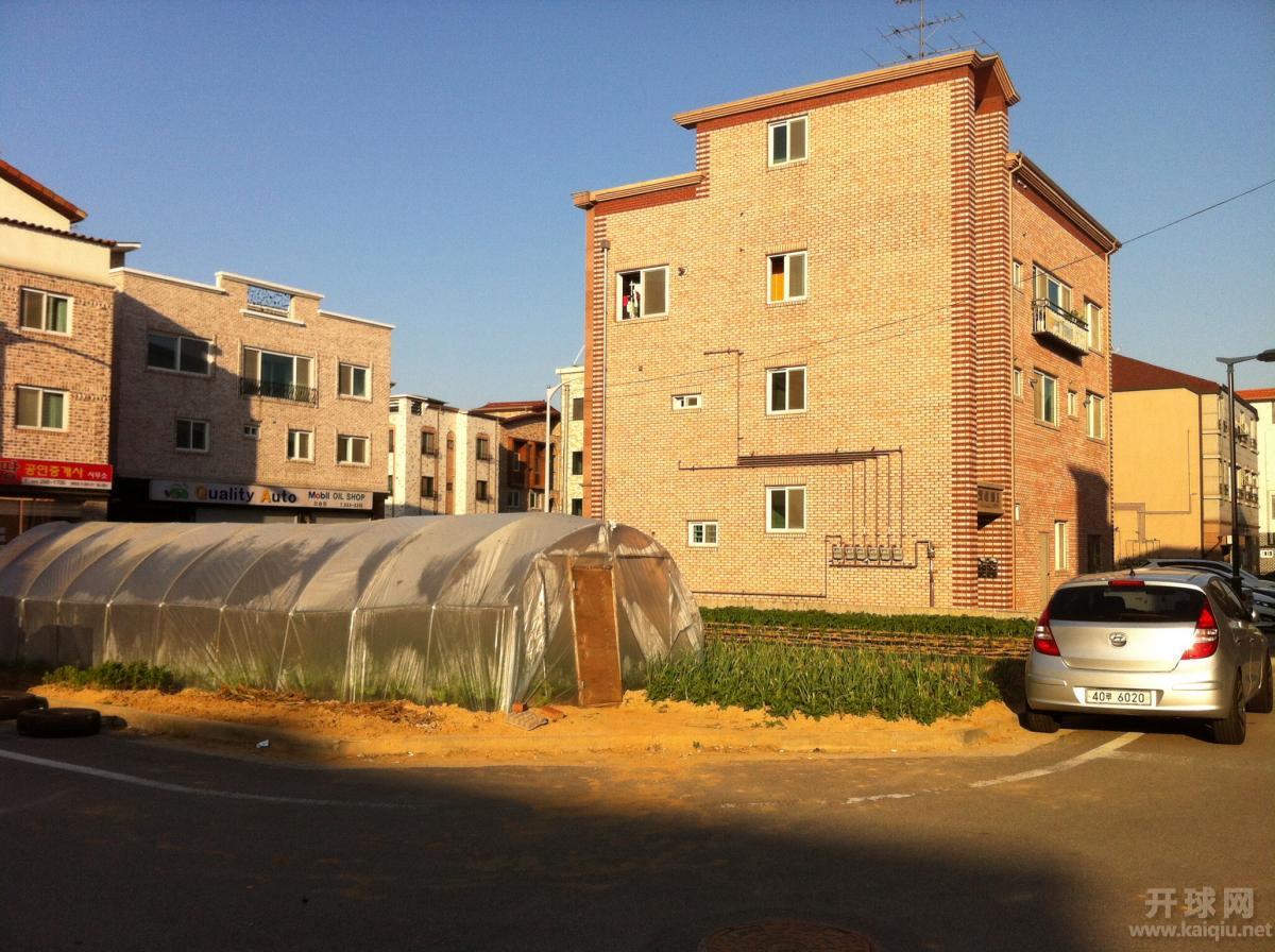 还有塑料大棚。是楼里面的人种的？