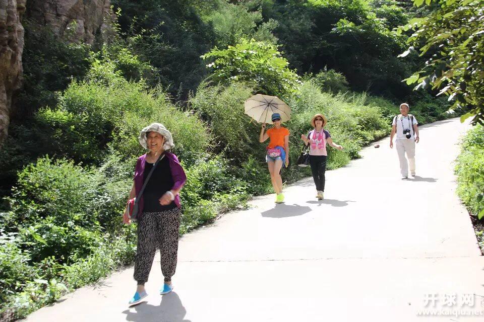 女保镖：景燕和文子。