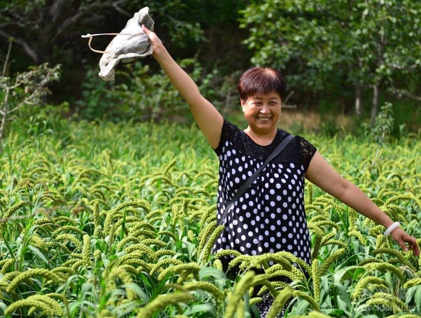 看，大姐多有领导的范。