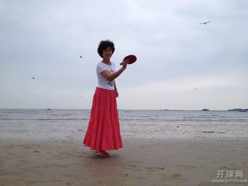 海鸥伴我来挥拍。