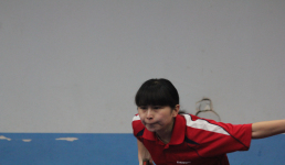 广和泰杯团体赛260