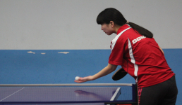 广和泰杯团体赛263