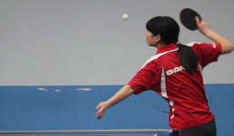 广和泰杯团体赛265