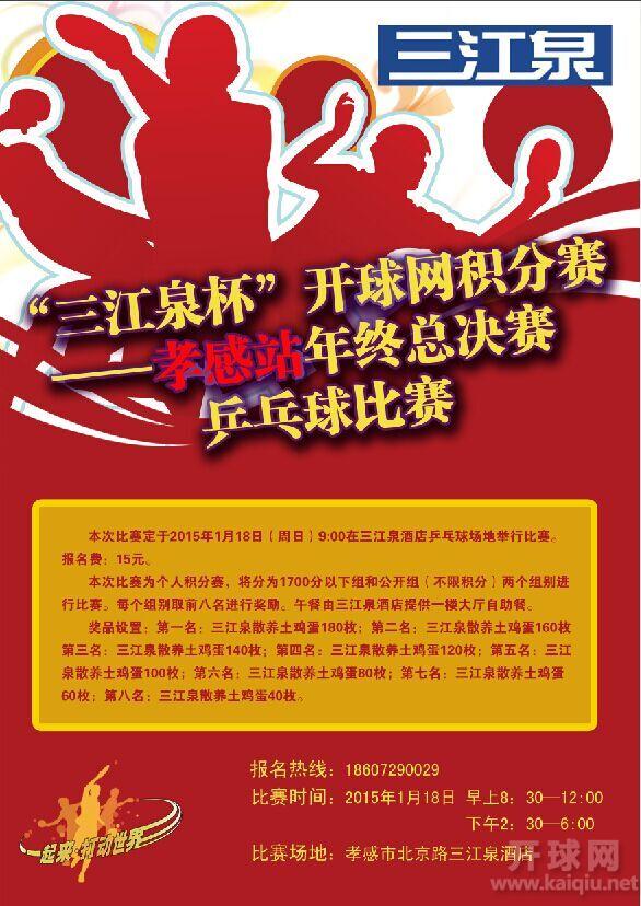 阿迪达斯·开球好乒乓第1季（丙组）