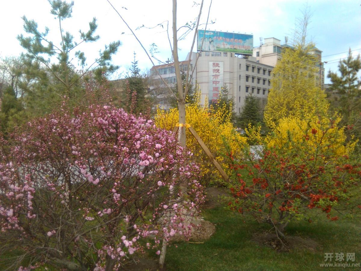IMG_20160412_072300